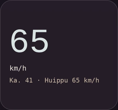 Nopeuskortti: 65 km/h, keskinopeus ja huippu